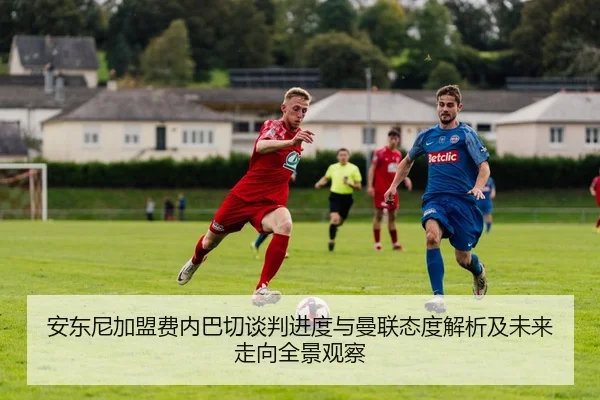 img_1782470124649_176_1_344.jpg